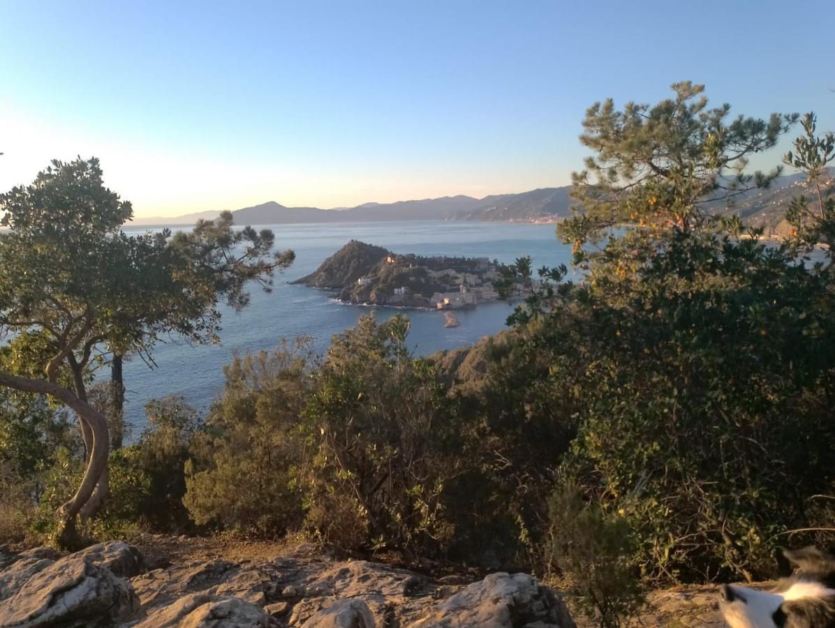 Casa Caterina Setri Levante Sestri Levante Exteriör bild